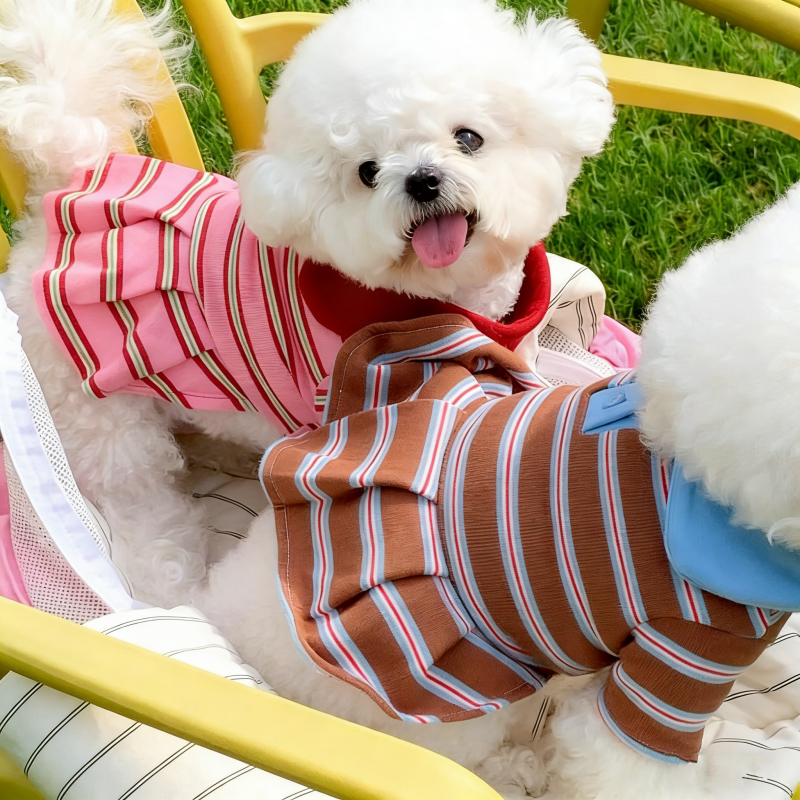 Summer Clothing In French - Summer Dog Polo Dress Striped Dog