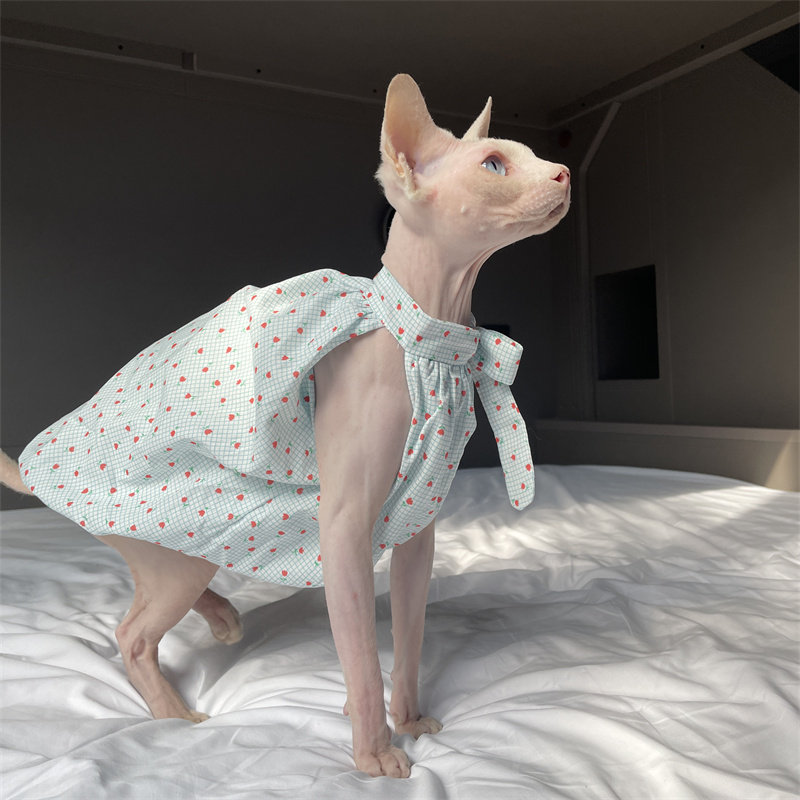 Cat Clothing in Summer Sweet L - Summer Light Clothing のレビューと価格