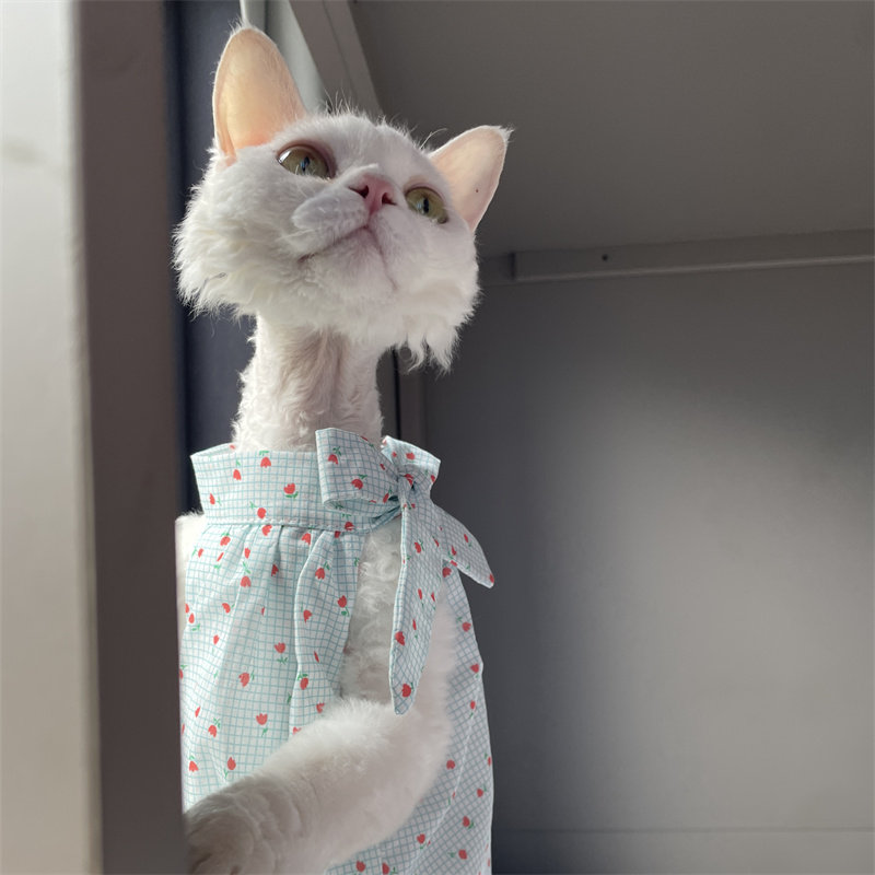 Cat Clothing in Summer Sweet L - Summer Light Clothing のレビューと価格