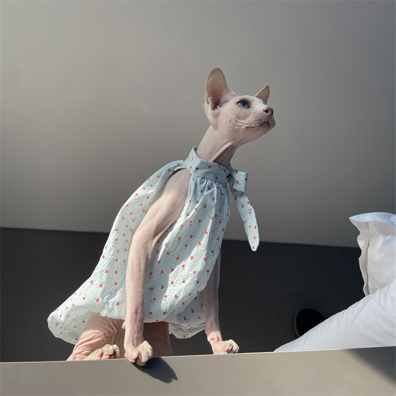 Cat Clothing in Summer Sweet L - Summer Light Clothing のレビューと価格