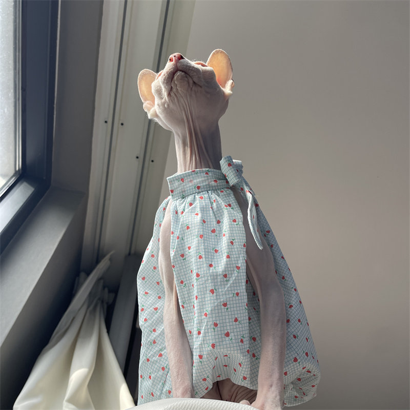 Cat Clothing in Summer Sweet L - Summer Light Clothing のレビューと価格