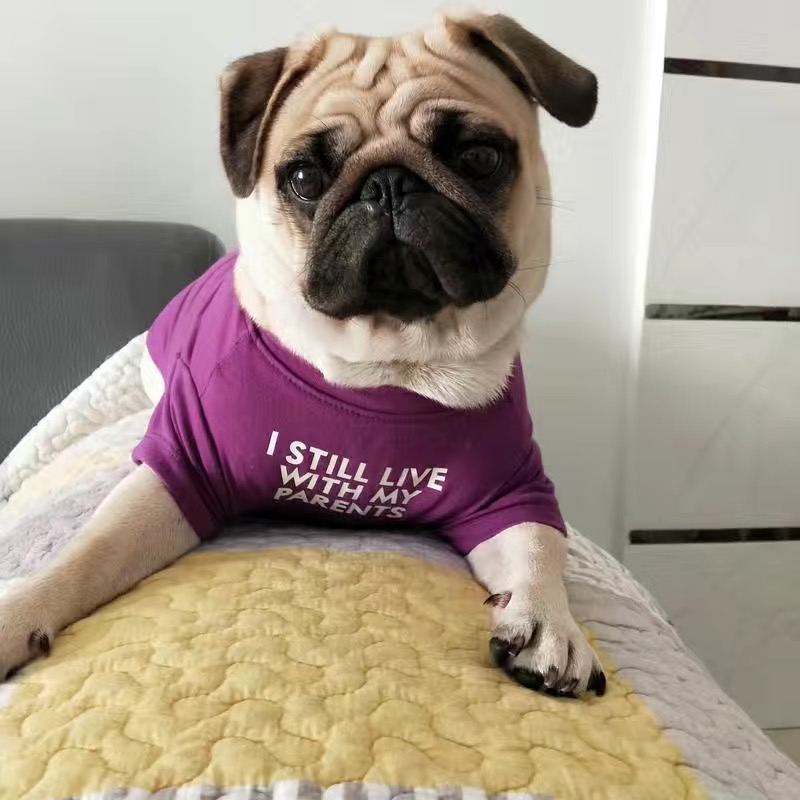 Fashion French Bulldog Pug Ves - Summer Clothing In French のレビューと価格