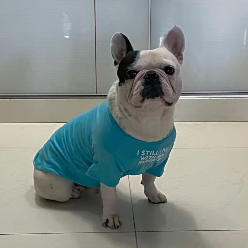 Fashion French Bulldog Pug Ves - Summer Clothing In French のレビューと価格