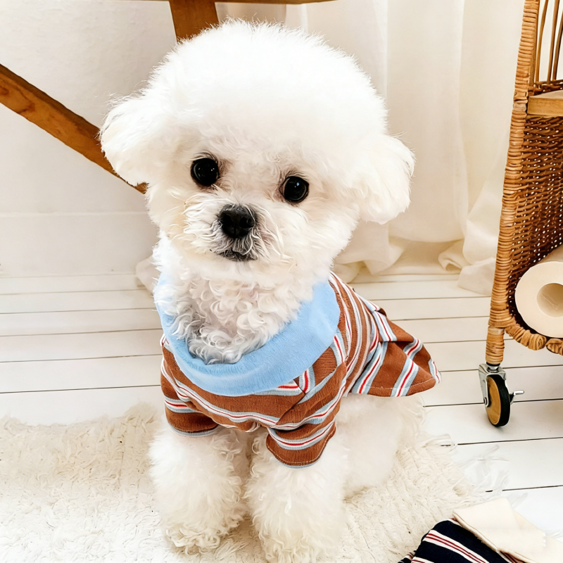 Summer Dog Polo Dress Striped  - Summer Clothing In French のレビューと価格