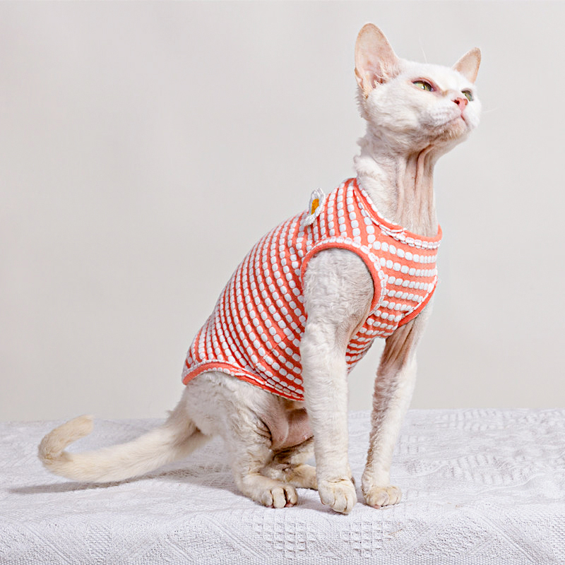 Summer T-Shirt for Sphynx Cat  - Soft Summer Yellow Clothing のレビューと価格