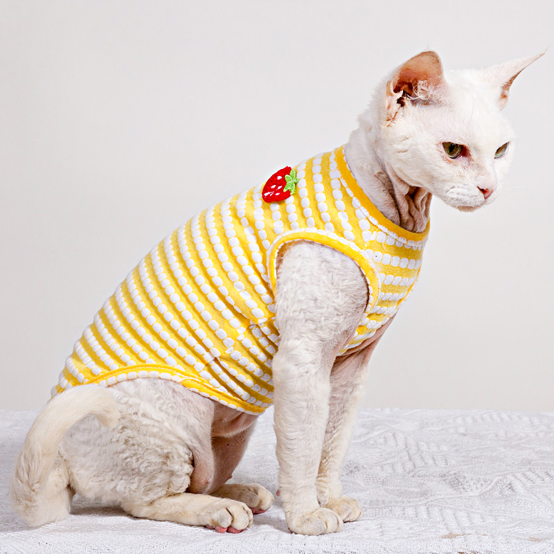 Summer T-Shirt for Sphynx Cat  - Soft Summer Yellow Clothing のレビューと価格