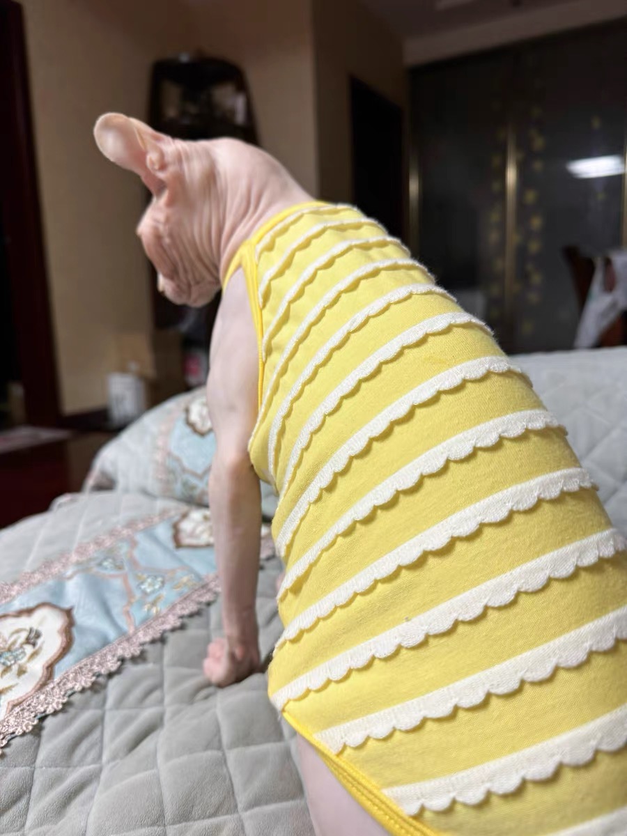Spring Summer Cotton T-Shirt f - Soft Summer Yellow Clothing のレビューと価格