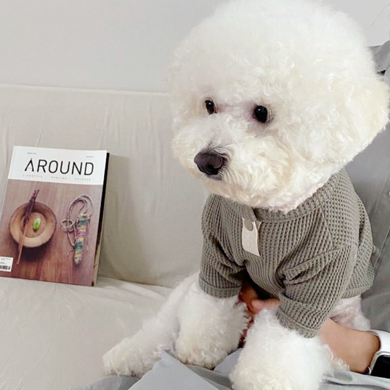 Summer Pet Shirt Solid Dog T-S - Summer Clothing In French のレビューと価格