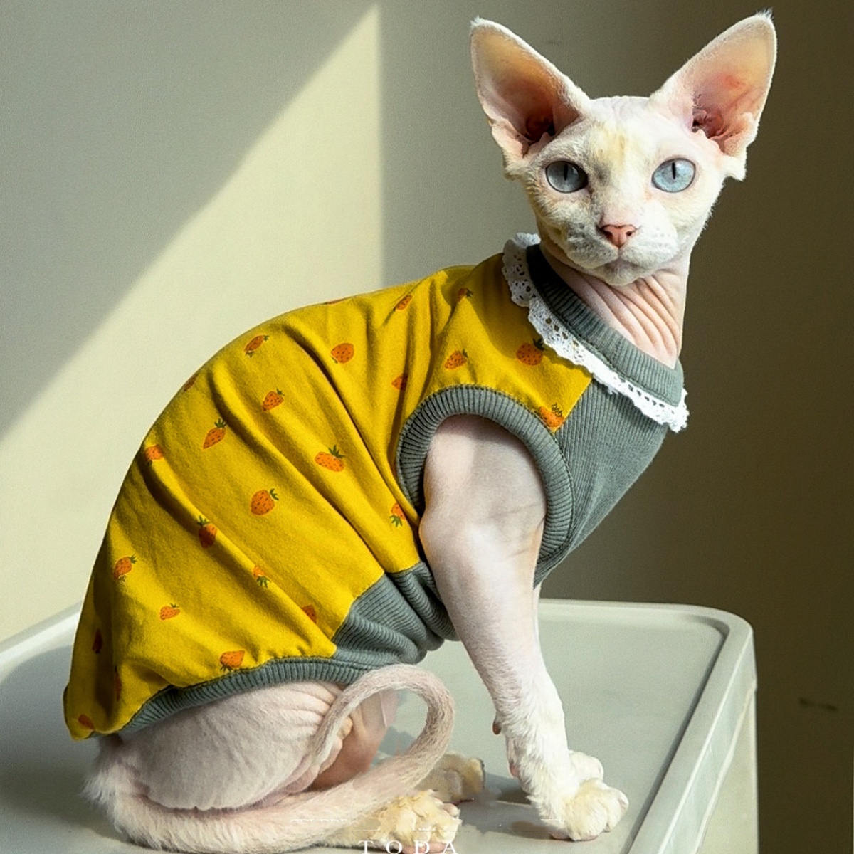 Clothing for Cat Spring Sweet  - Summer Green Clothing のレビューと価格