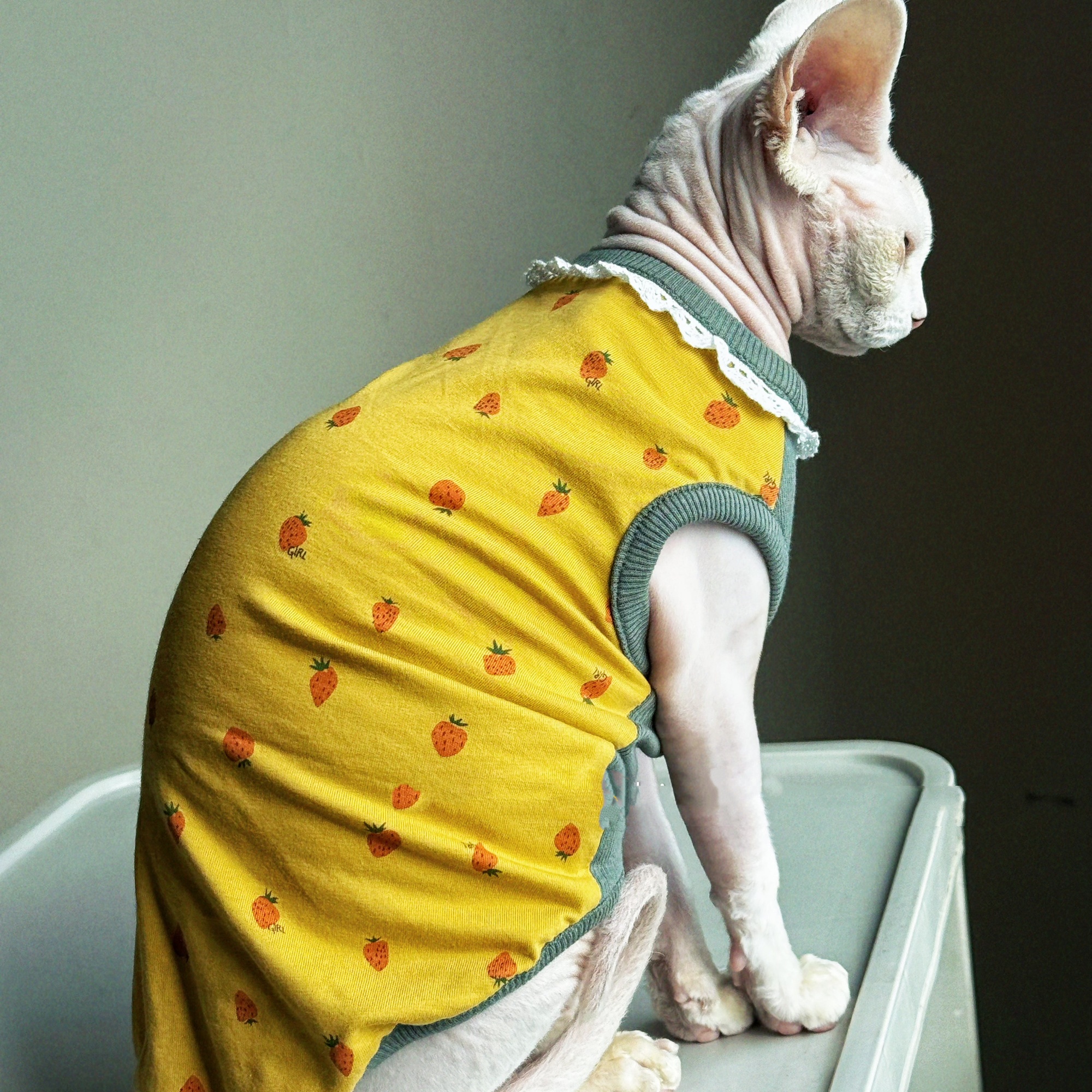 Clothing for Cat Spring Sweet  - Summer Green Clothing のレビューと価格