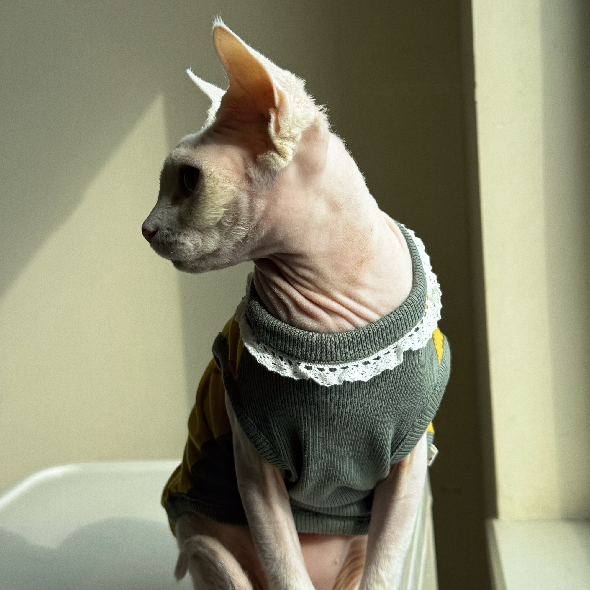 Clothing for Cat Spring Sweet  - Summer Green Clothing のレビューと価格