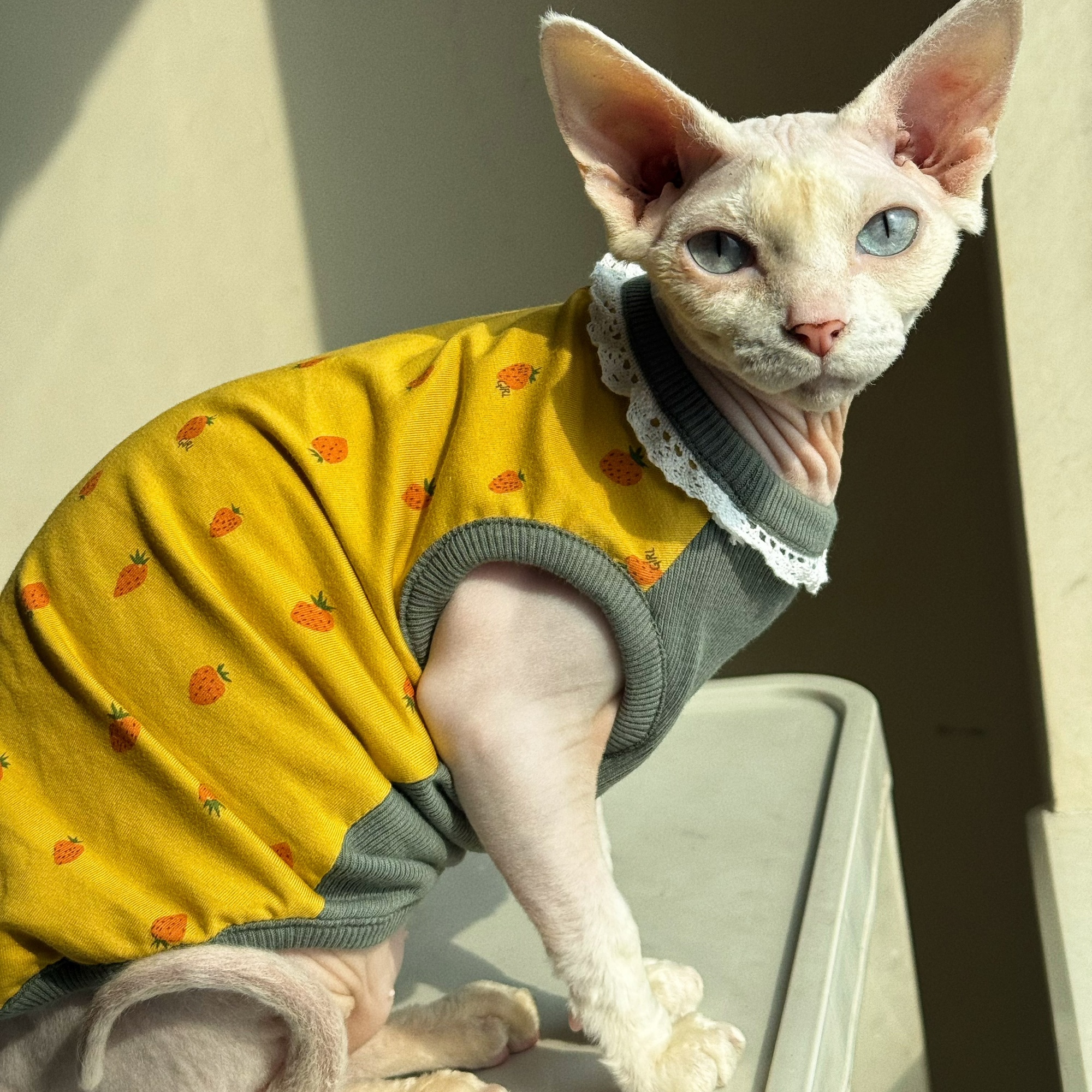 Clothing for Cat Spring Sweet  - Summer Green Clothing のレビューと価格