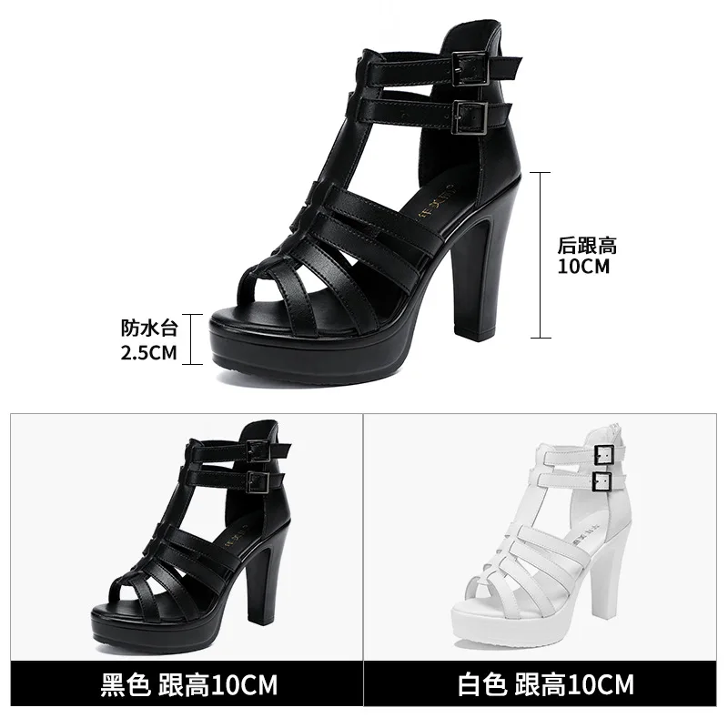 Gladiator Ladies Shoe for Wome - Summer Clothing Petite のレビューと価格