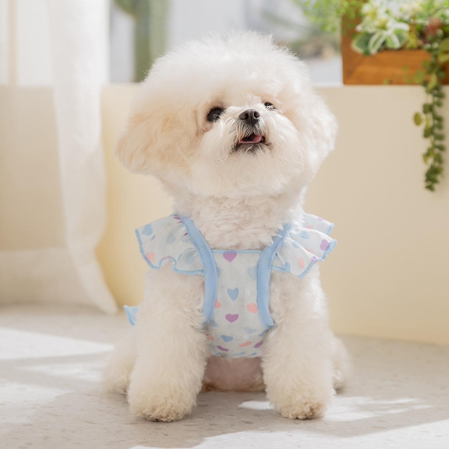 Yellow Love Dog Clothes Summer - Soft Summer Yellow Clothing のレビューと価格