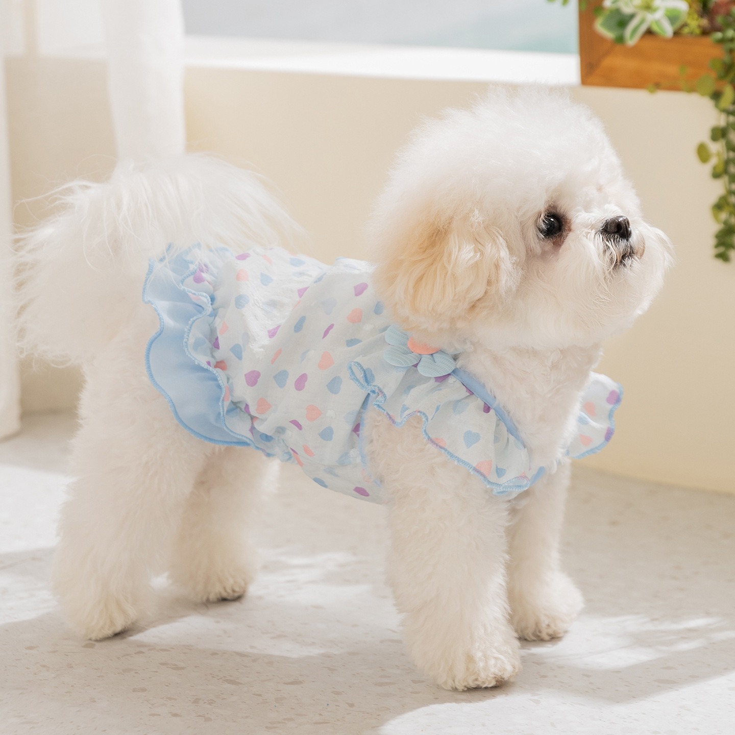 Yellow Love Dog Clothes Summer - Soft Summer Yellow Clothing のレビューと価格